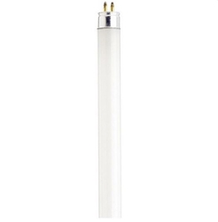 Fluorescent Tube 1 ft T5 Lamp Single