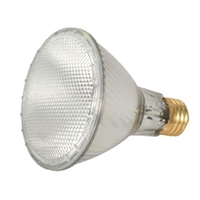 Halogen Long Neck 60 watt - PAR 30