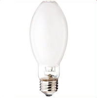 Metal Halide -  50 watt