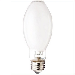 Metal Halide -  50 watt