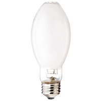 Metal Halide - 100 watt - medium base