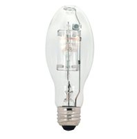 Metal Halide -  50 watt