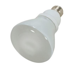 Compact Fluorescent 15 watt