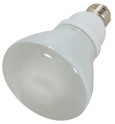 Compact Fluorescent - 15 watt - Natural Light (5000K)