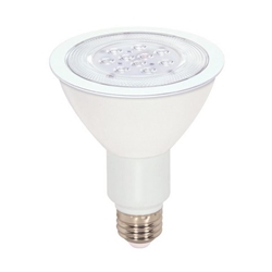 LED Par30 Long Neck - 11 watt