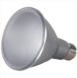 LED Par30 Long Neck