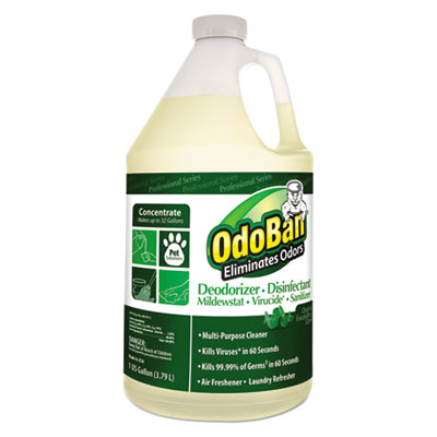 OdoBan Eucalyptus Odor-Eliminator Disinfectant